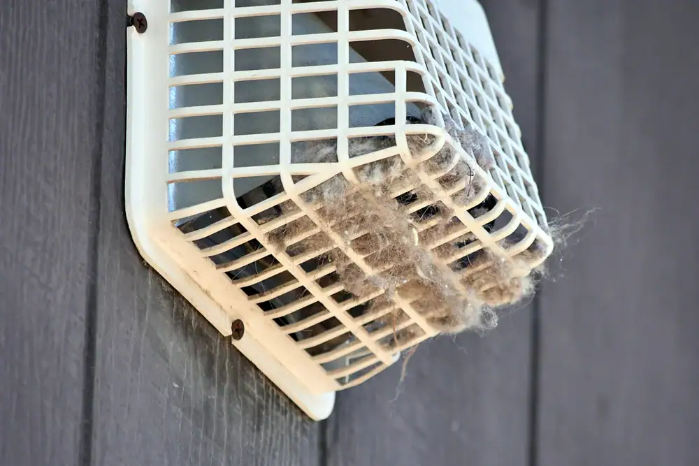 A white vent cover on an exterior wall is clogged with gray lint, restricting airflow and signaling the need for cleaning—similar to regular carpet cleaning in Houston County, TX to maintain a healthy home.