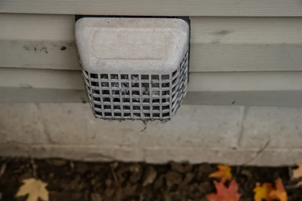 A close-up of a vent cover with protective wire mesh on the exterior wall of a TX home; some autumn leaves are scattered on the ground below, hinting at the changing season and recent carpet cleaning Houston County residents trust.